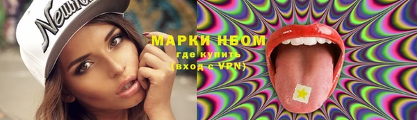 шишки Каменногорск