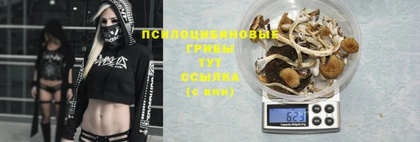 кристаллы Аркадак