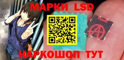 индика Кулебаки