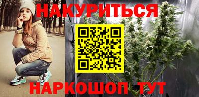 индика Кулебаки