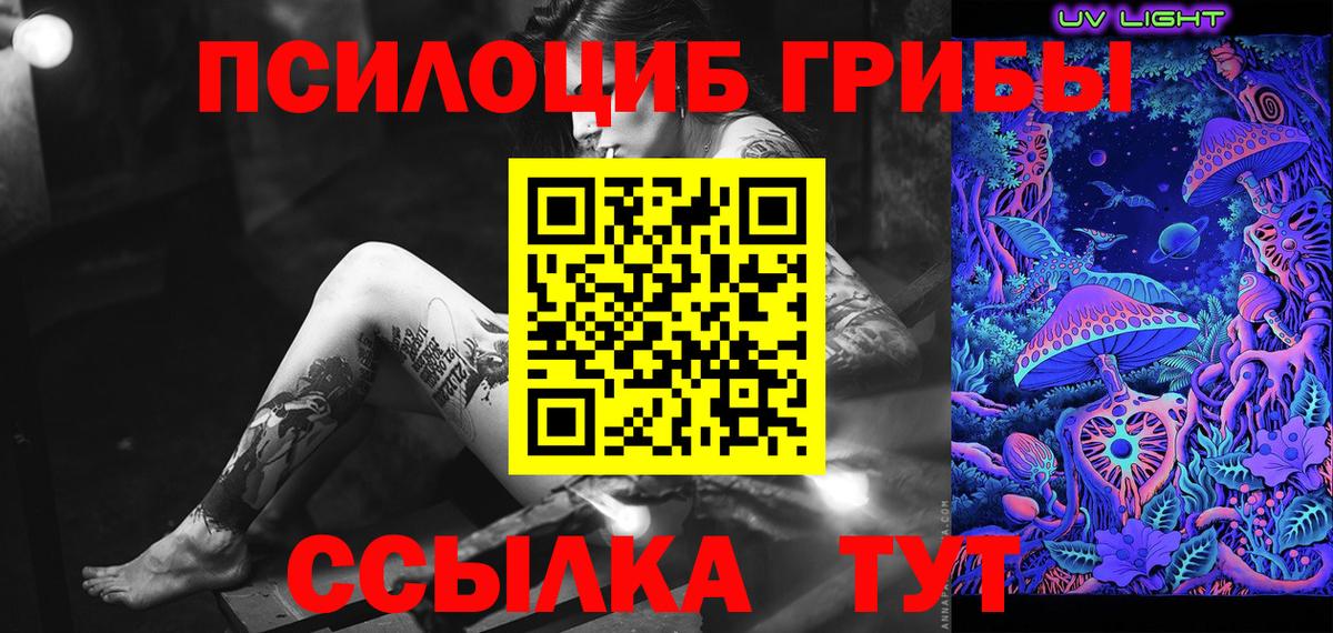 Дзержинский  Псилоцибиновые грибы Psilocybe  Вход с VPN  Галлюциногенные грибы мицелий 